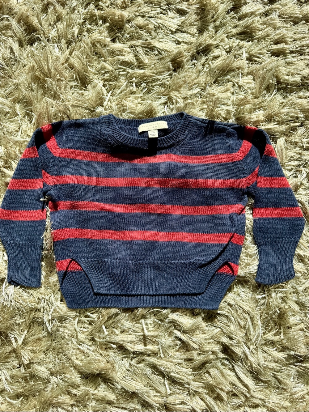 Stella McCartney Kids Navy & Red Striped Crewneck Sweater